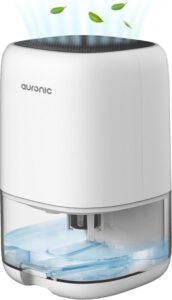 Auronic stille slaapkamer Luchtontvochtiger test
